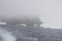 
DSC00208